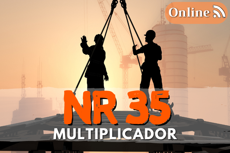 Curso nr 35 multiplicador online